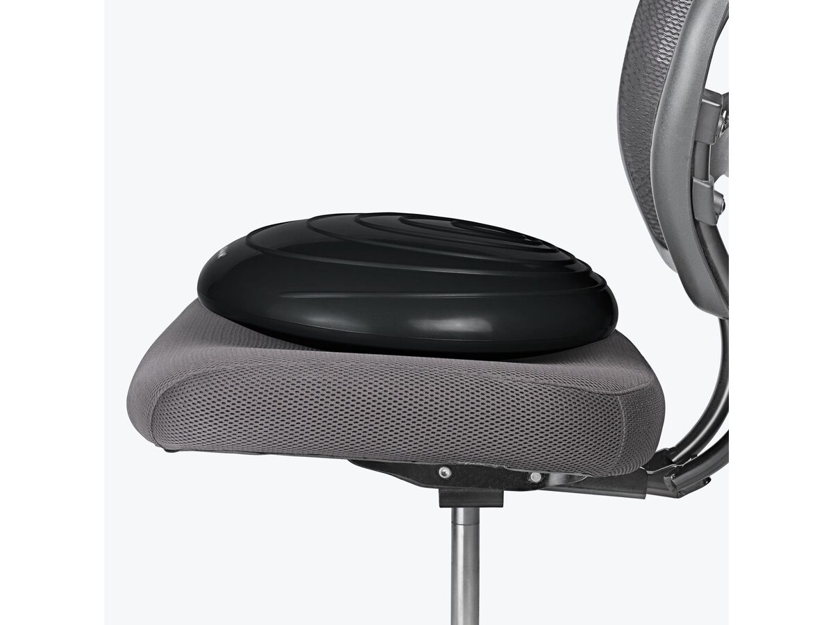 Gaiam Balance Disc photo 2